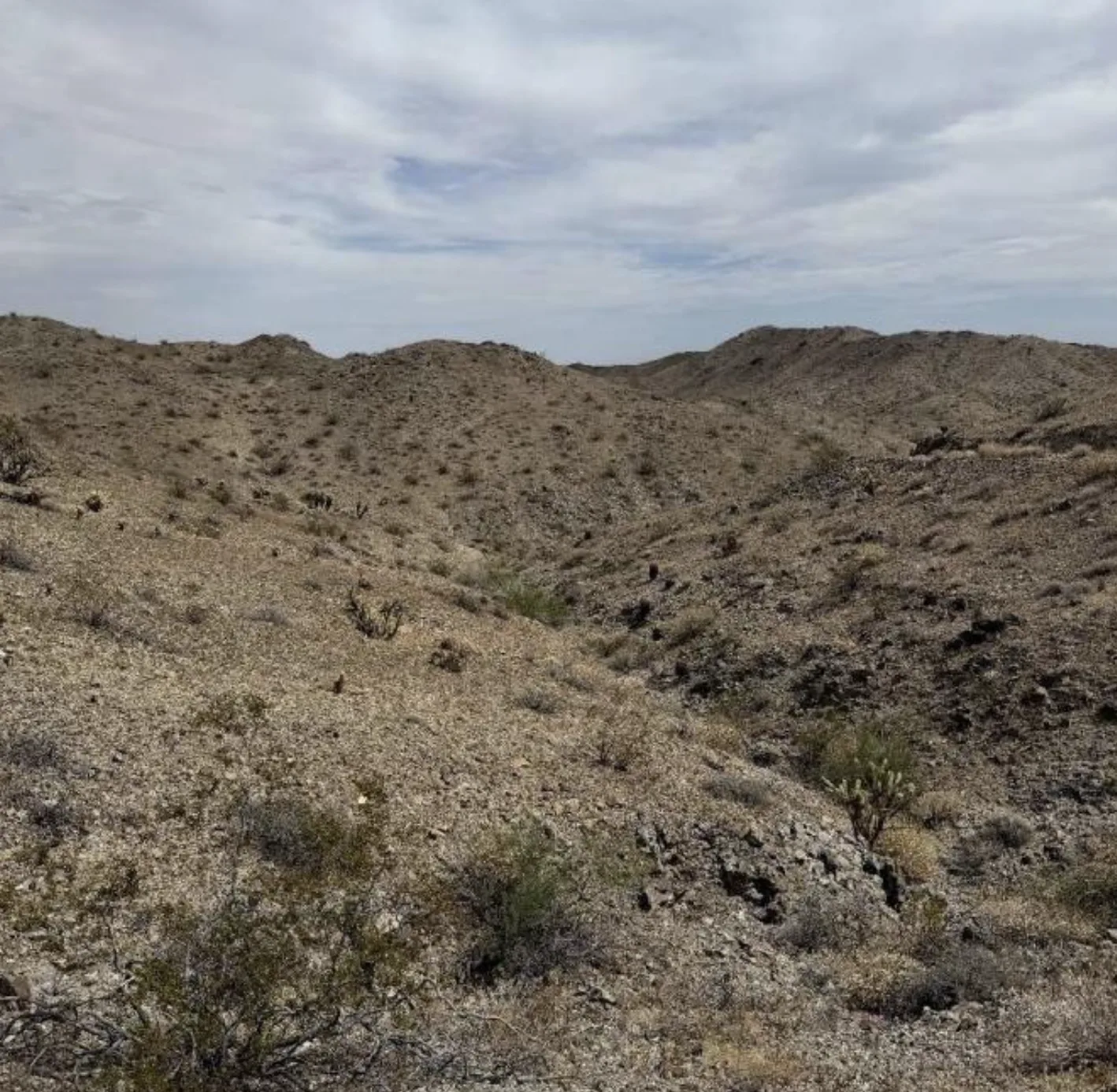 Desert ridge and ravine across the American Eagle property, Whipple Mountains.