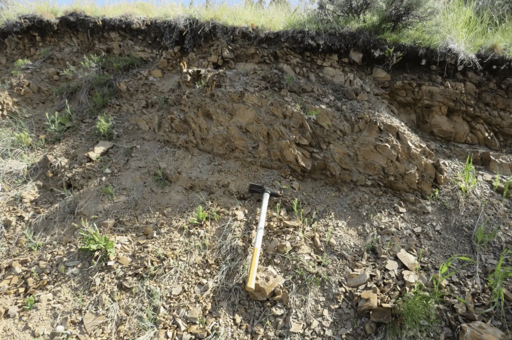 Exposed cut-bank section with geological hammer for scale
