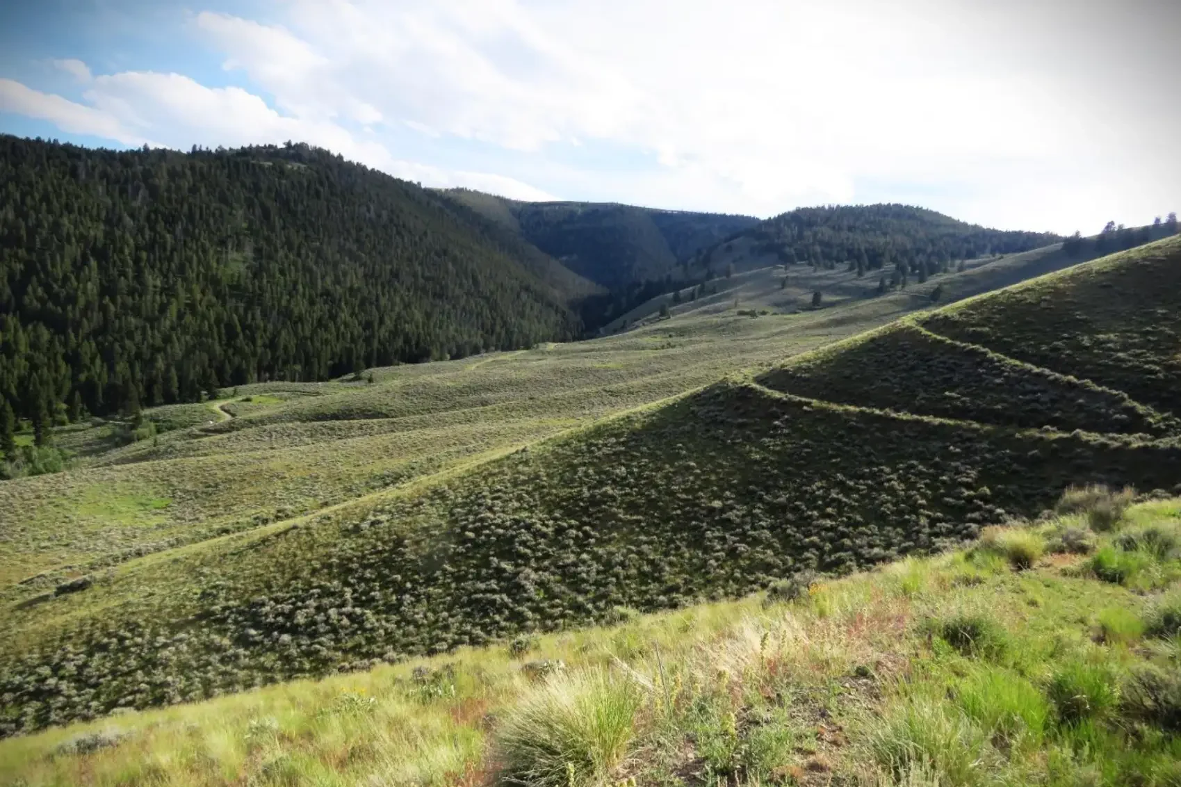 Valley and forested ridge terrain at Calida project area