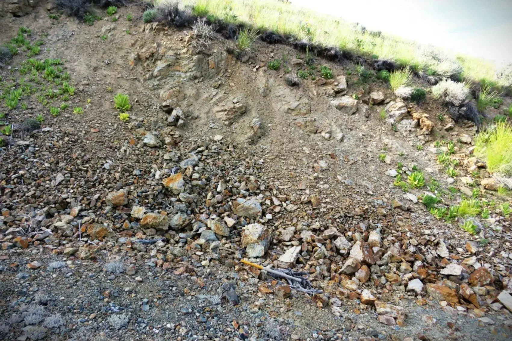 Angular scree and rubble at Calida Gold project site