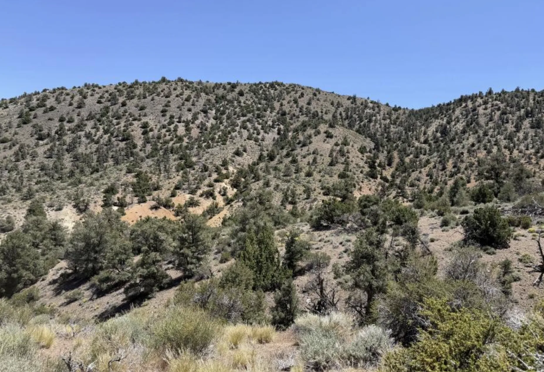 Pinyon-juniper hillside above the project, with a small disturbed patch mid-slope.