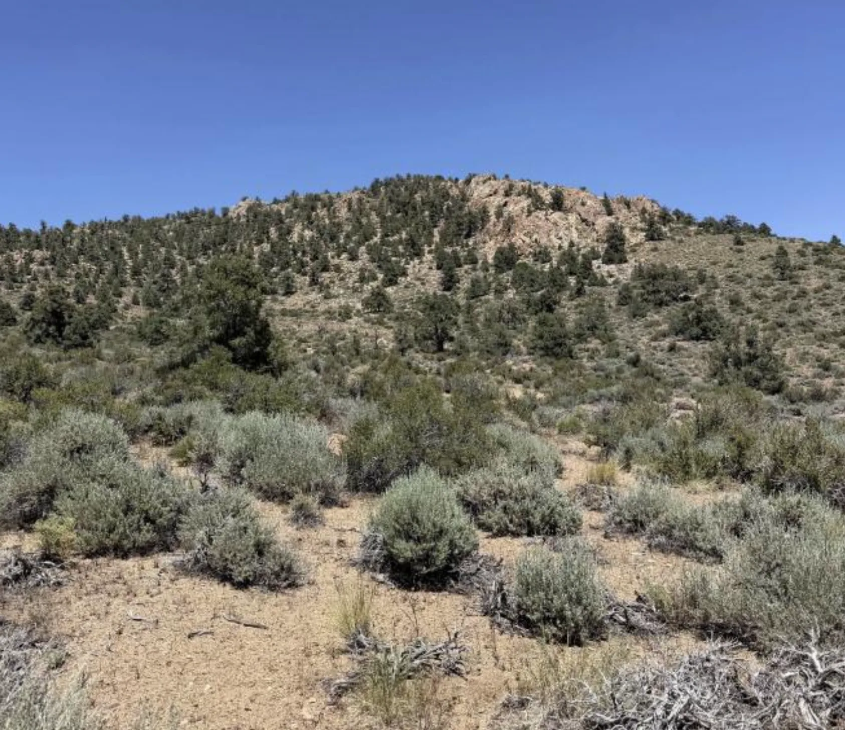 Rocky outcrop summit in pinyon-juniper and sagebrush.