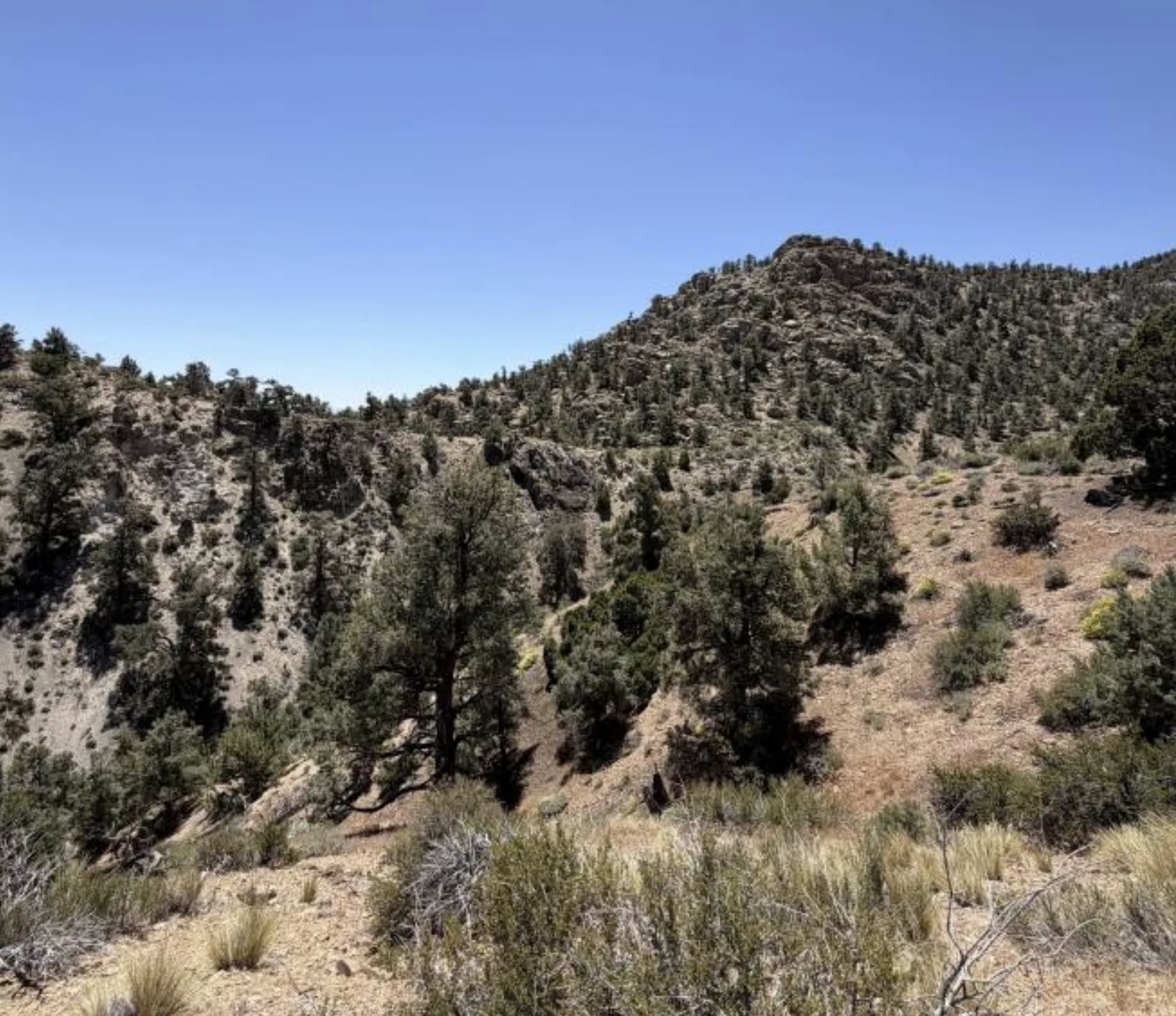 Drainage and rocky ridges flanking the deposit.