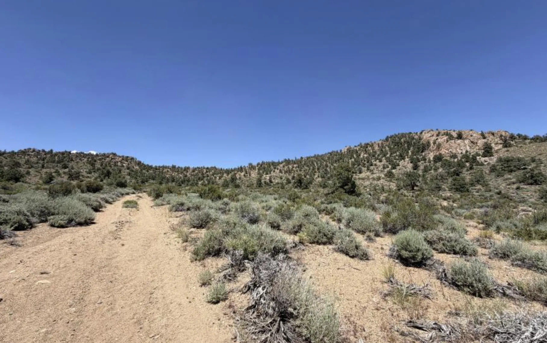 Two-track climbing toward the mineralized ridge.