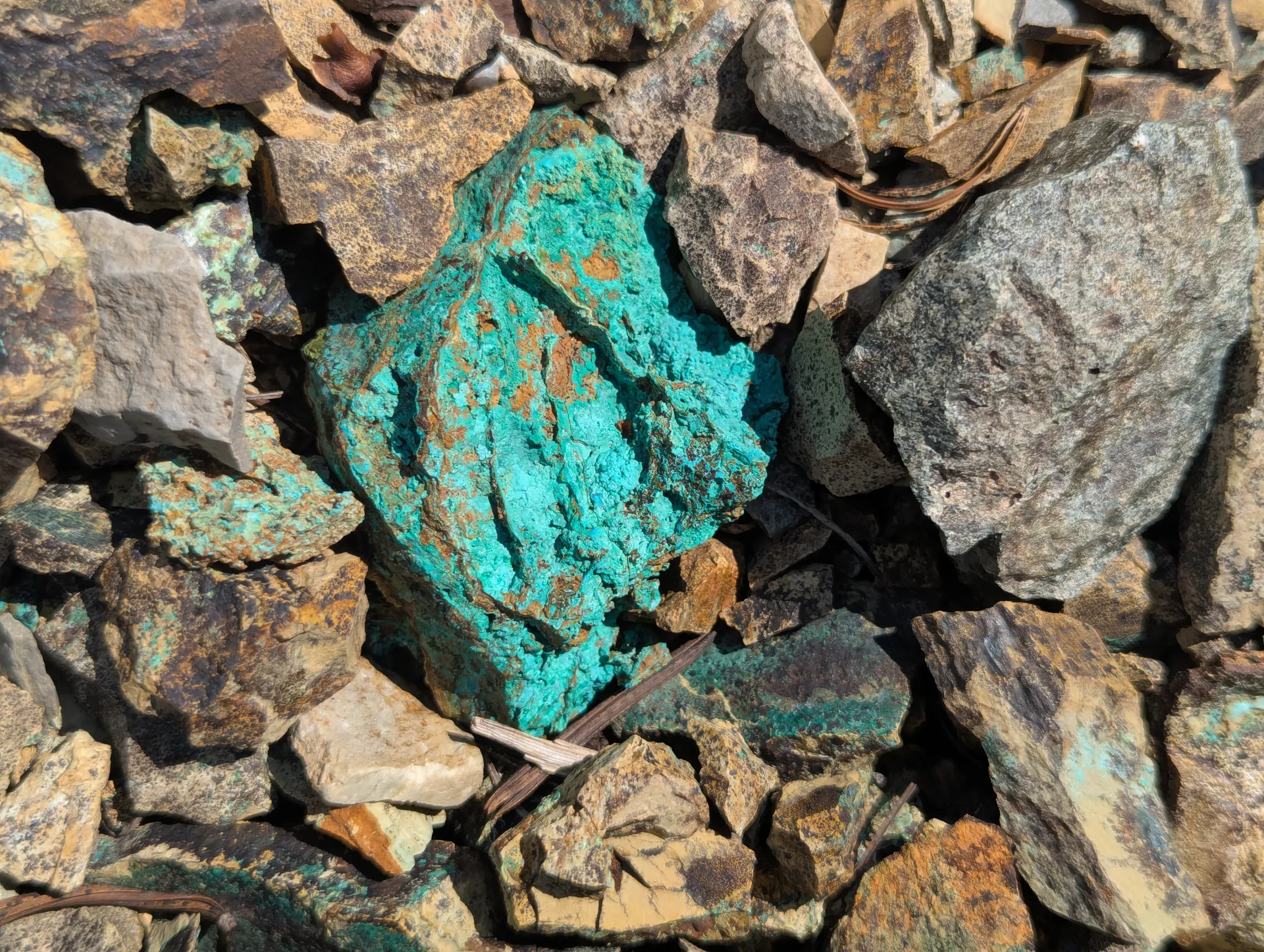 Massive green copper oxide on dump material at the historic workings.