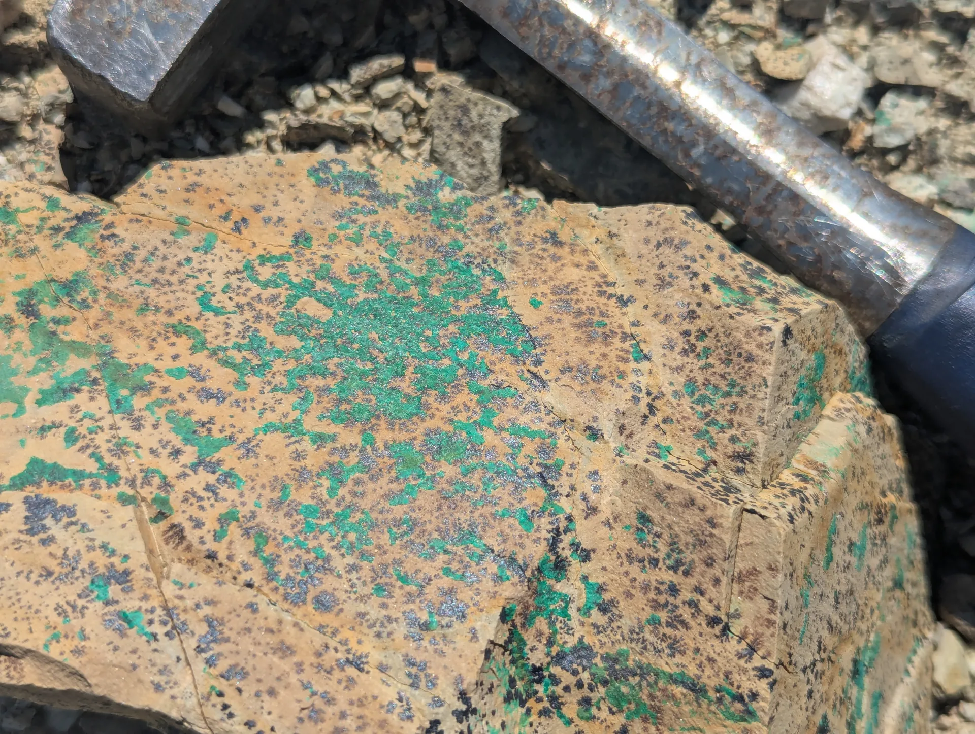 Disseminated copper carbonate speckled through a slab of dolomitic limestone, hammer for scale.