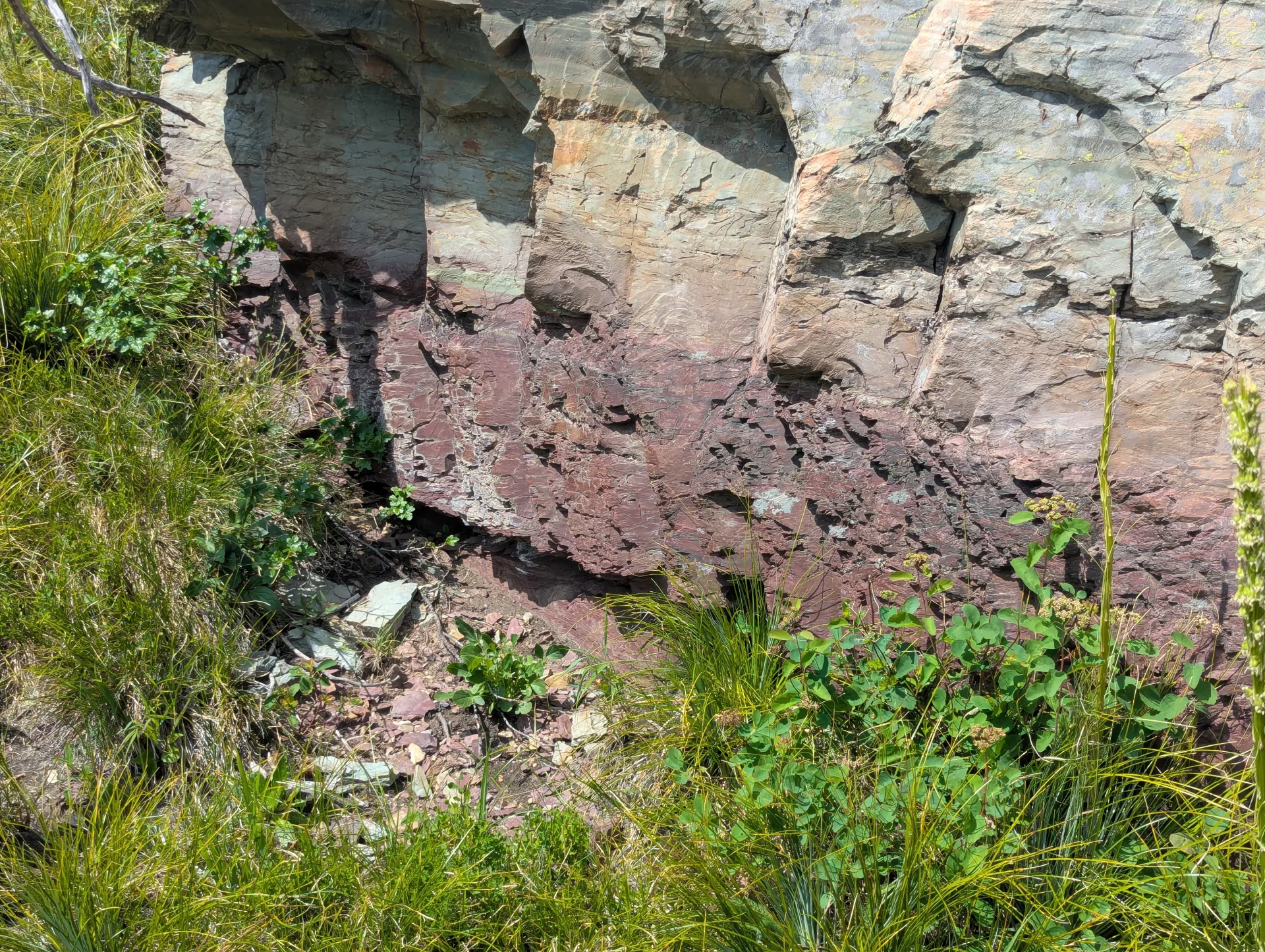 Bedded sedimentary sequence in outcrop at Cotter Basin, with green, buff and maroon horizons.