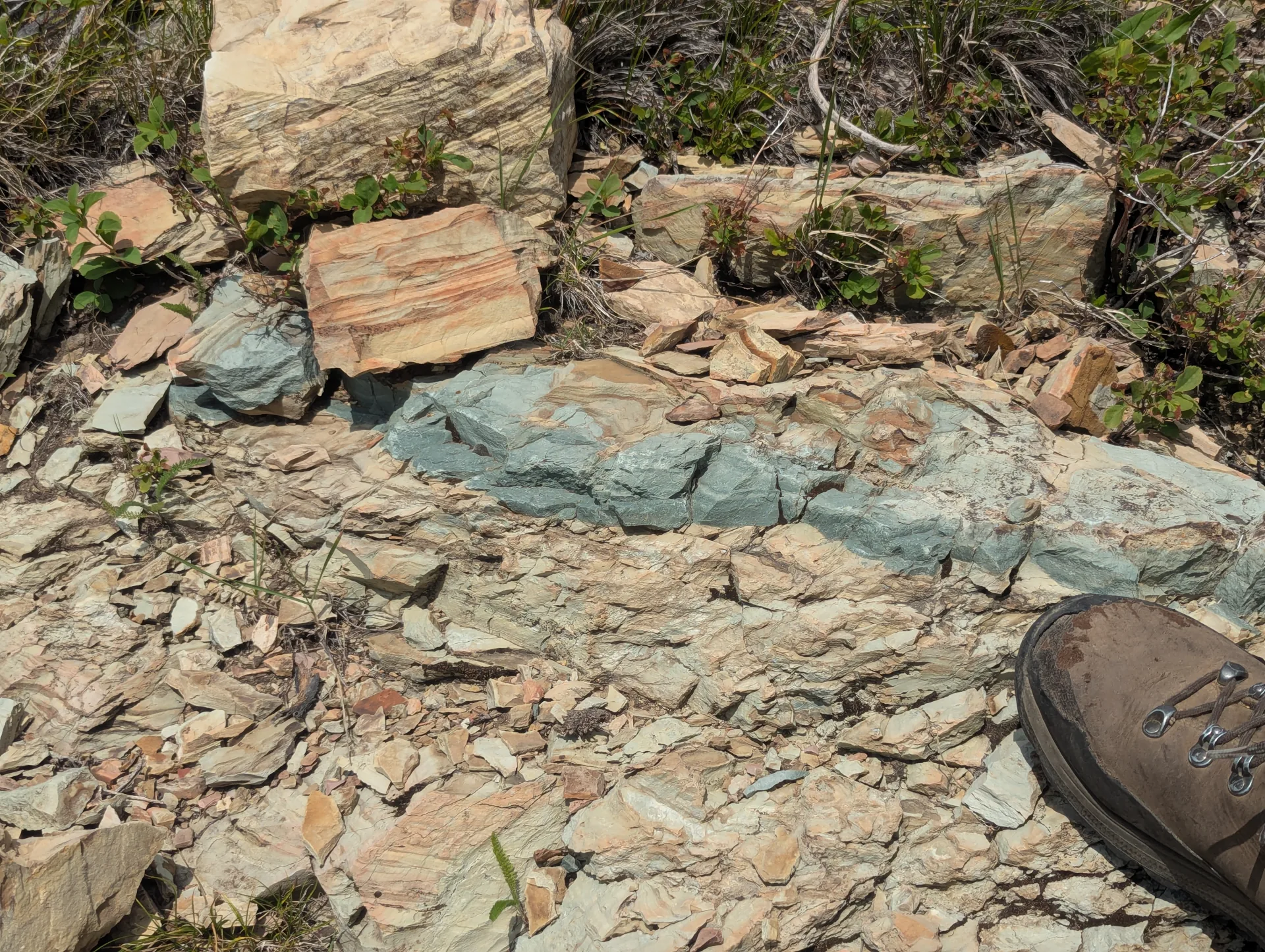 Thin-bedded dolomitic limestone, the sedimentary host rock to the copper mineralization.