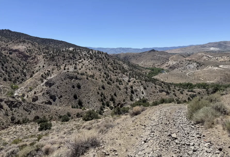 View across the project area approximately 8 miles east of Carson City, Nevada.