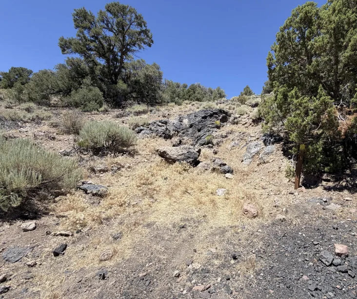 Outcropping altered volcanics on the hillside above the workings.