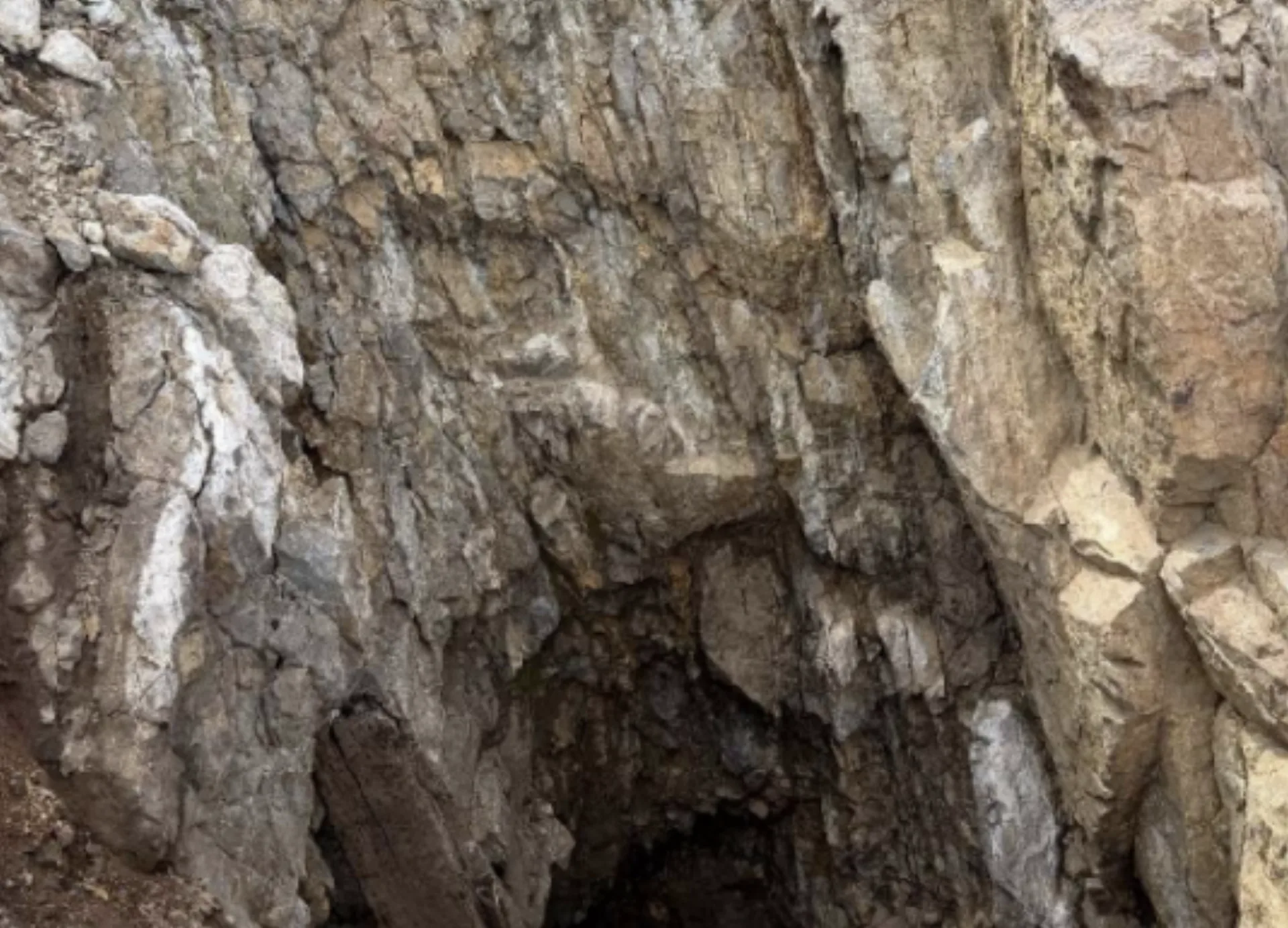 Quartz-veined historic workings at Enright Hill