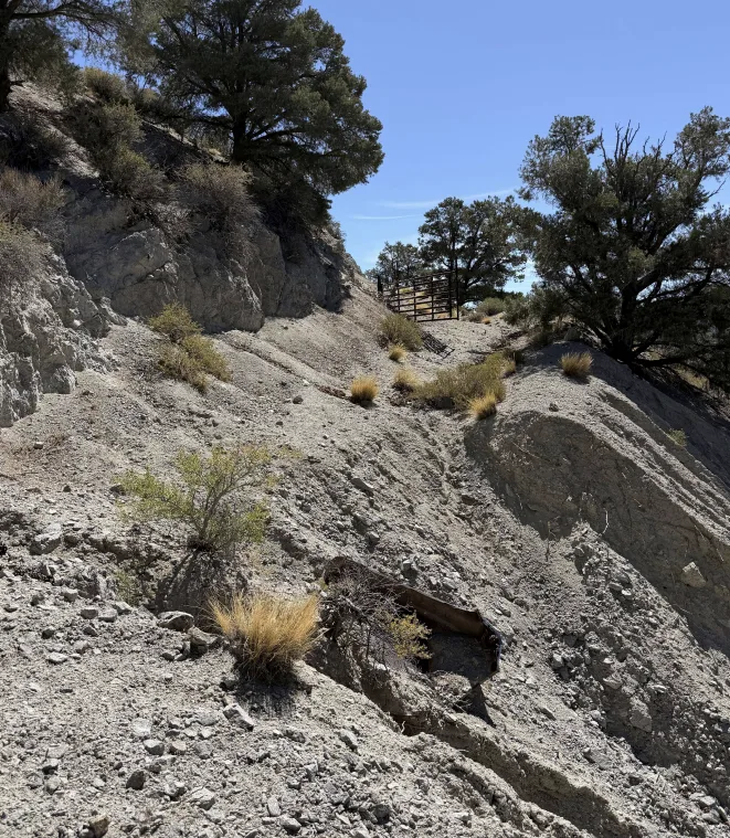 Historic surface workings on the Flying Cloud ground, prospected by shafts and tunnels.