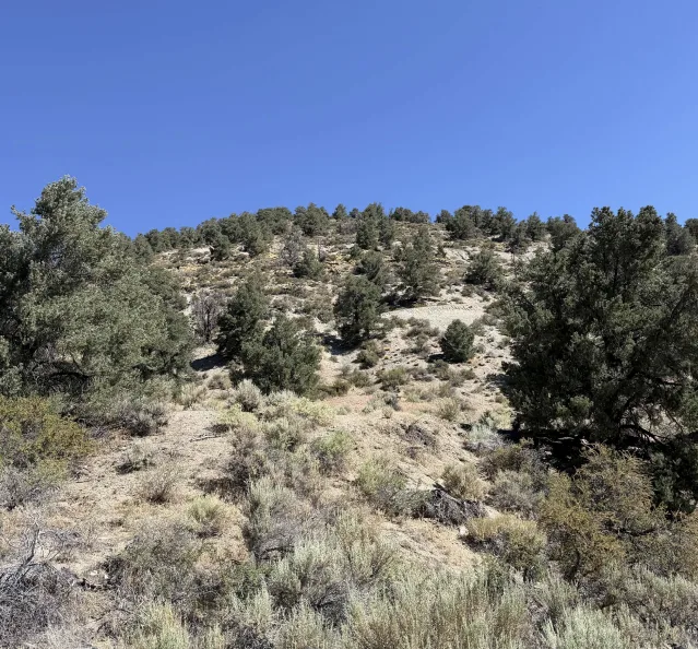 Hillside over the project area south of Hawthorne, Mineral County, Nevada.