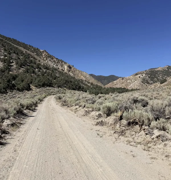Access road toward the project in the Wassuk Range.