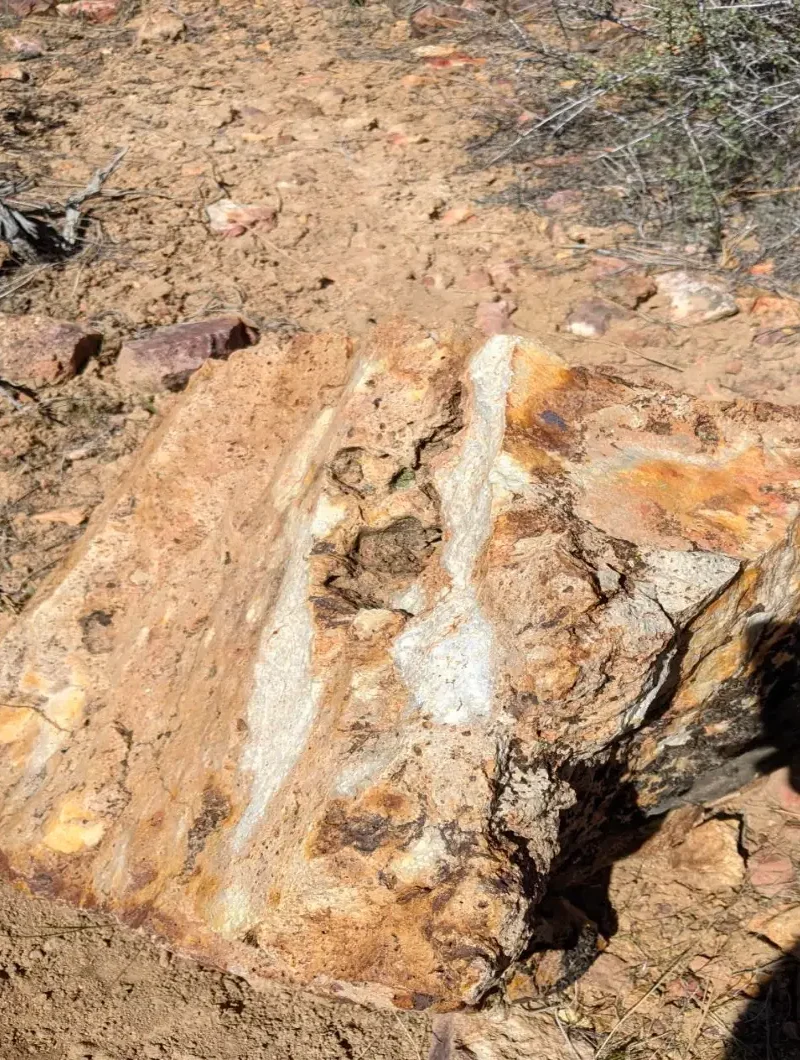 Quartz-veined gossan outcrop close-up Golden Dome