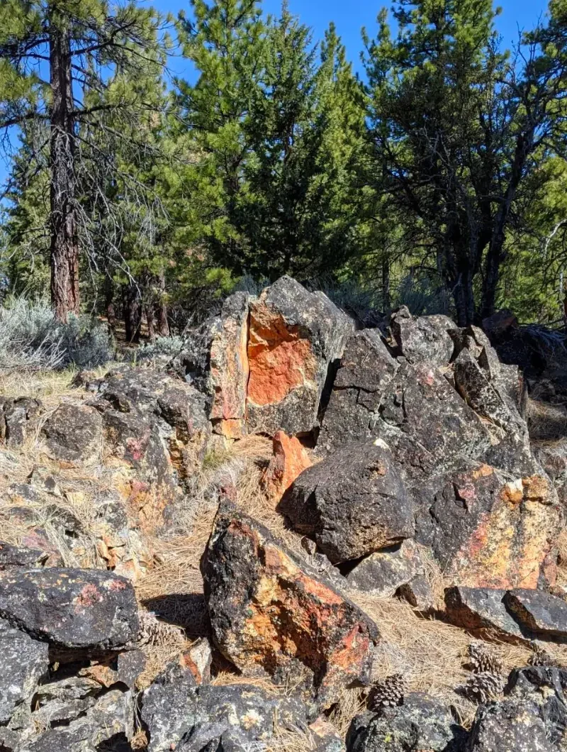 Gossan-stained outcrop boulders against pine forest Sierra County