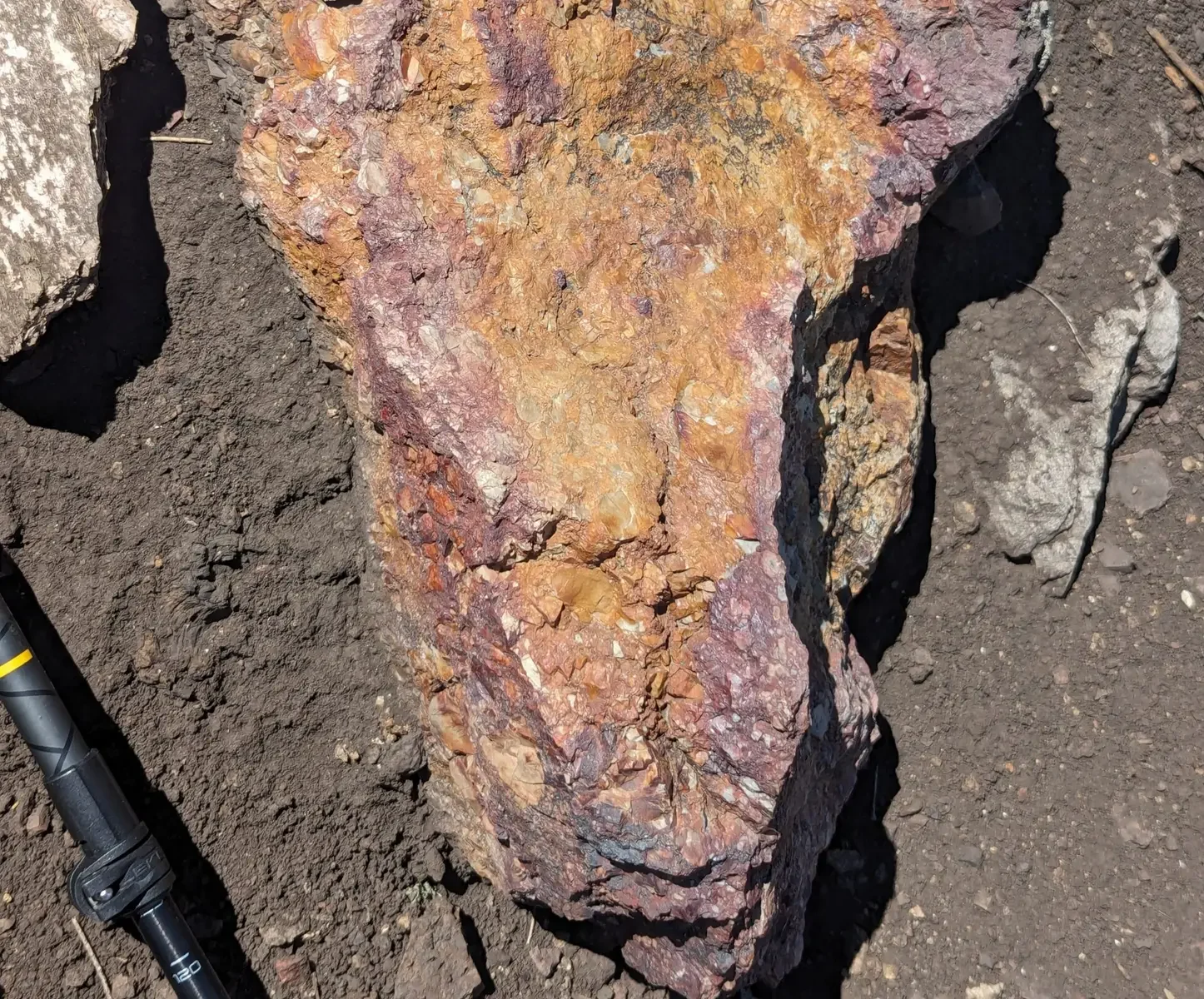 Oxidised rock sample with purple and orange iron staining