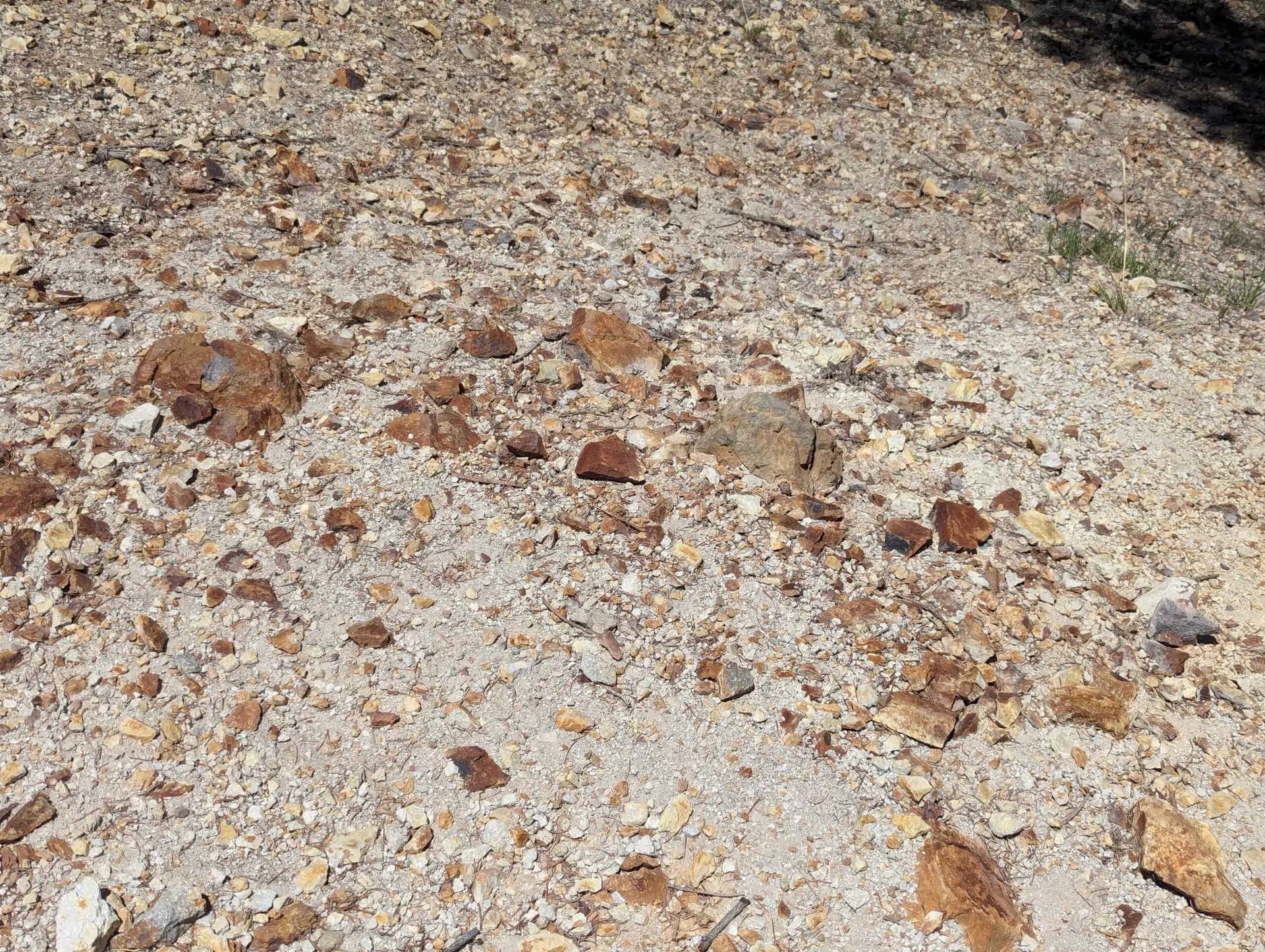 Gossan float on ground surface at Great Western claims