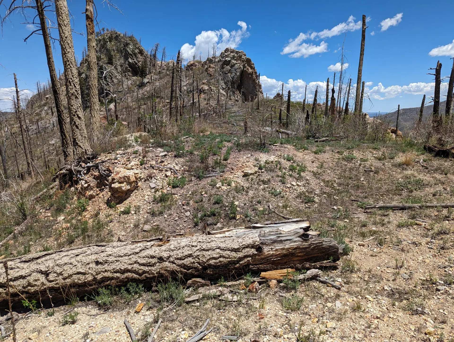 Burnt hillside terrain with rocky outcrop, Great Western Project