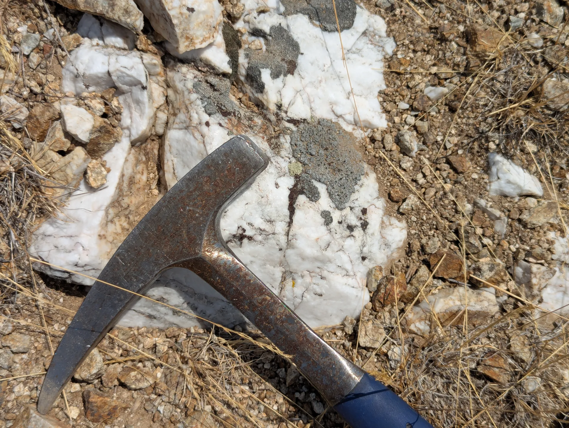 The bull quartz fissure vein exposed in outcrop, hammer for scale.