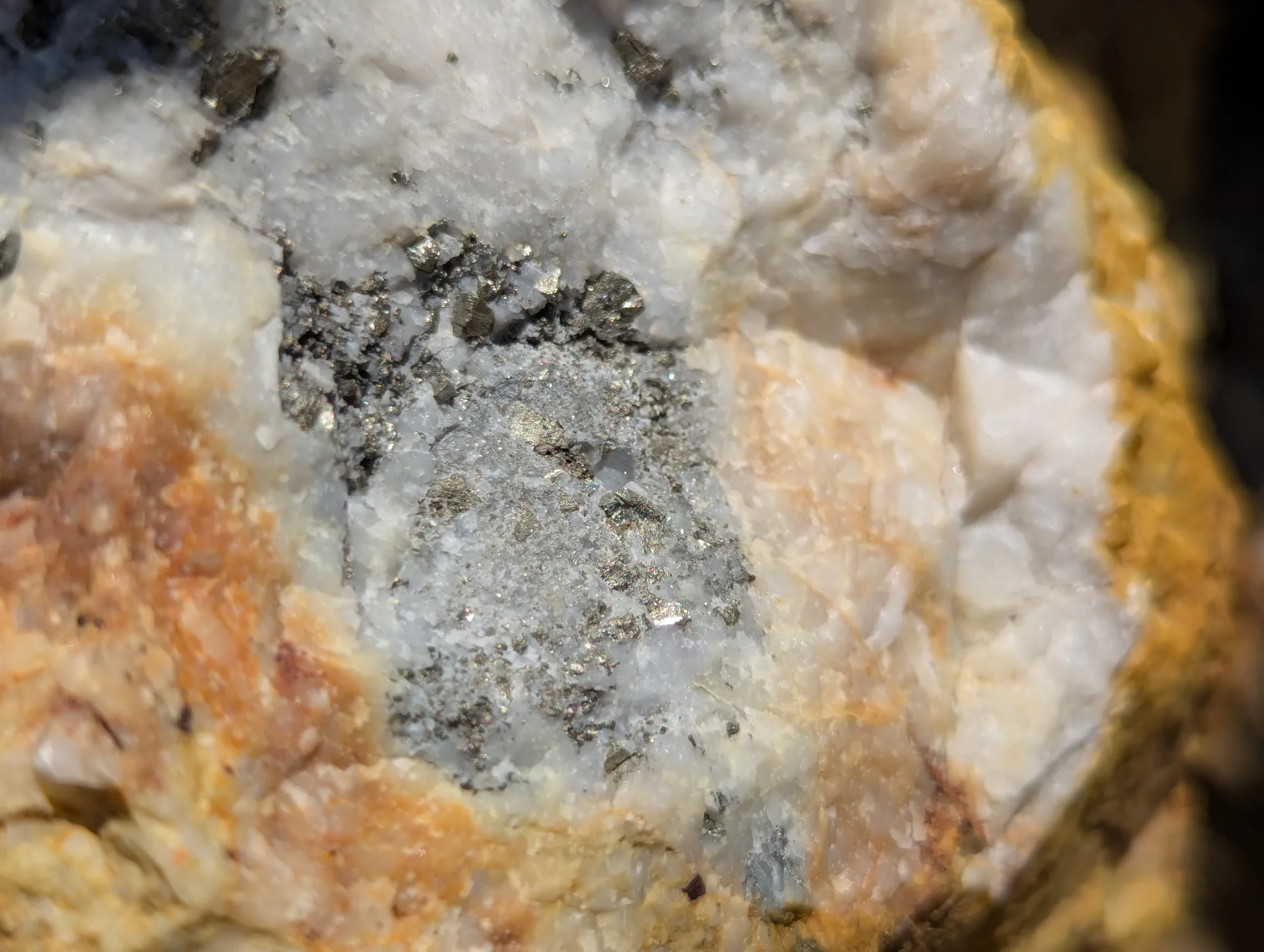 Vuggy "bug hole" quartz carrying sulphides and iron staining - the high-grade association noted in sampling.