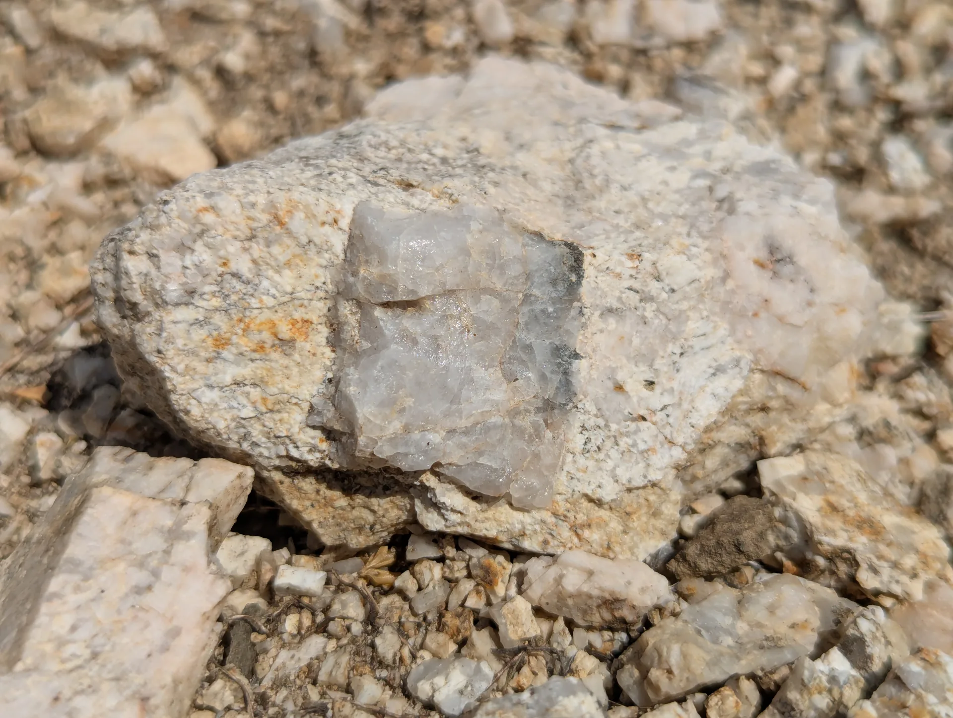 Quartz crystals lining a vug in the vein material.