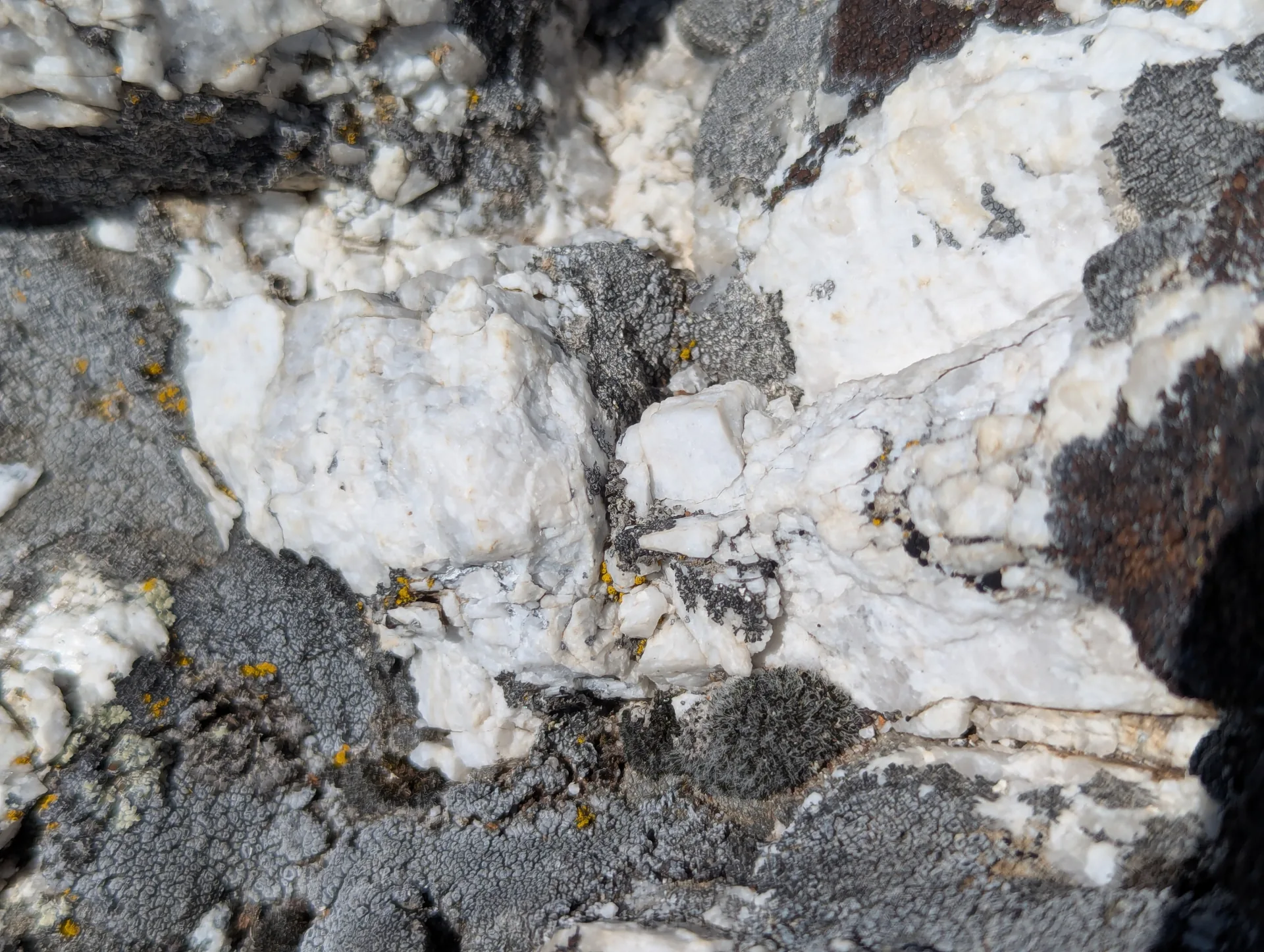 White quartz vein cutting the darker country rock.