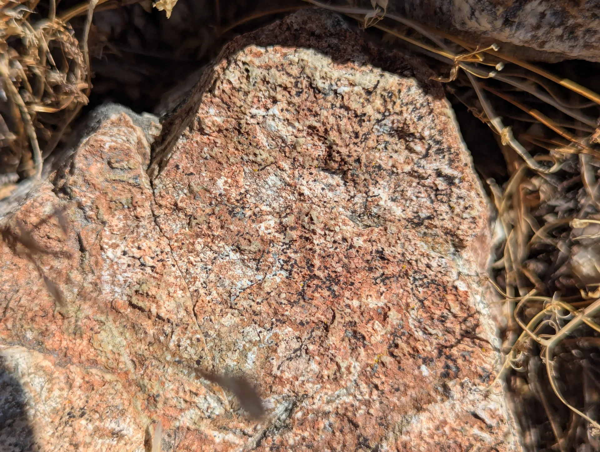 Coarse granite of the Cretaceous intrusive that bounds the vein on the north.