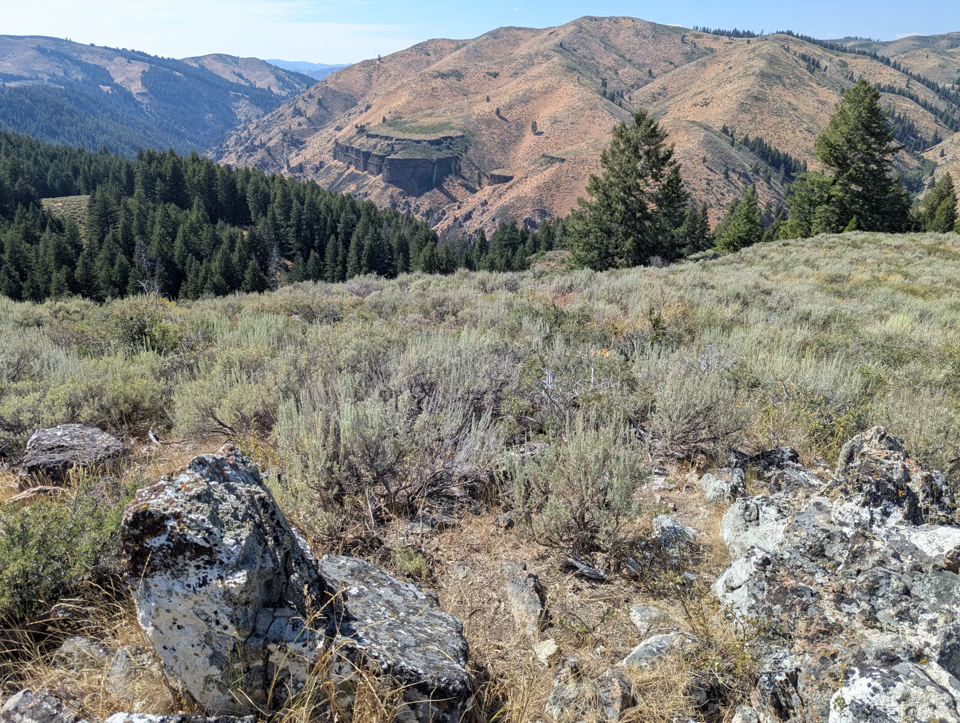 Project ground in the Pine Grove Mining District, Elmore County, Idaho.