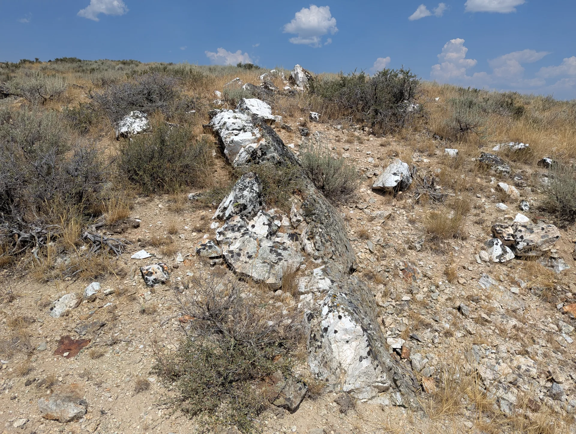 The bull quartz vein standing out as a resistant spine along strike across the sagebrush slope.
