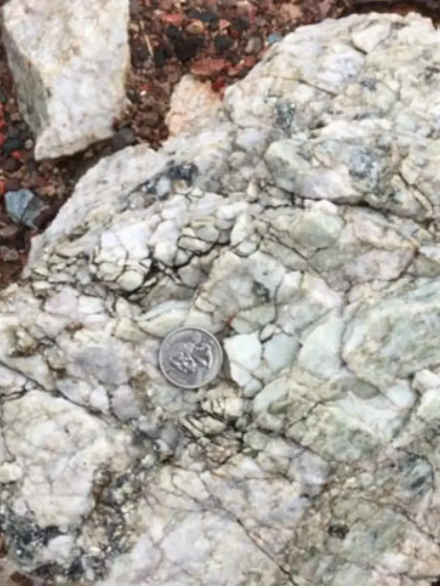 Coarse mica pegmatite sample with coin scale Lucky Mica Arizona