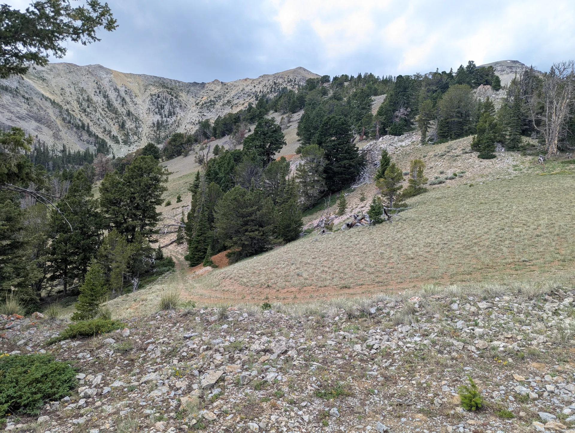 Project ground near the summit of the Lemhi Range, Lemhi County, Idaho.