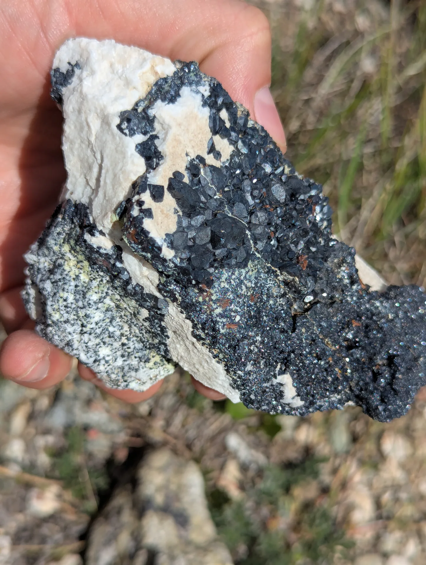 Massive magnetite against white marble, the contact the mineralized lenses follow.