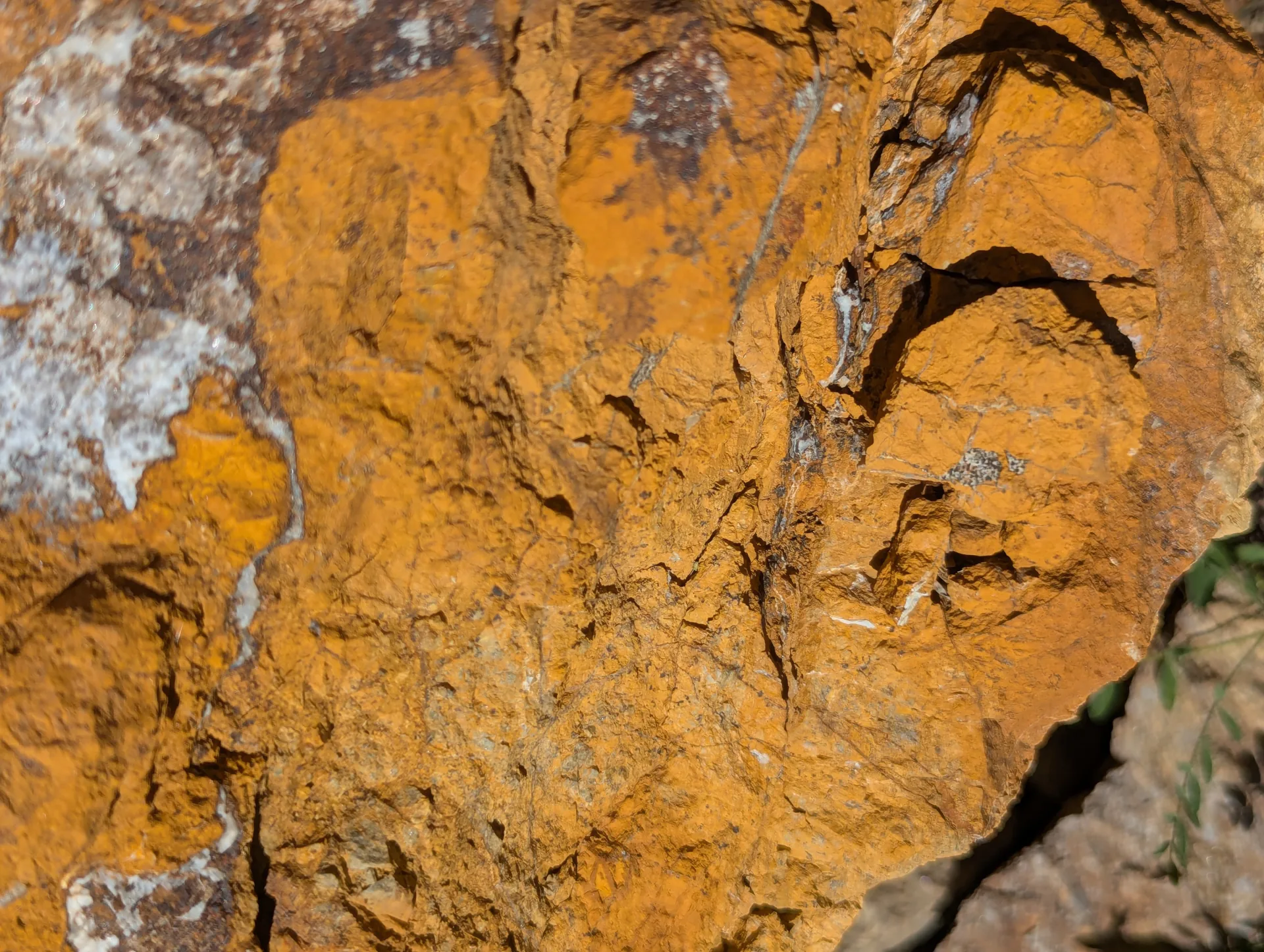 Iron-oxide stained outcrop in the oxidized zone.