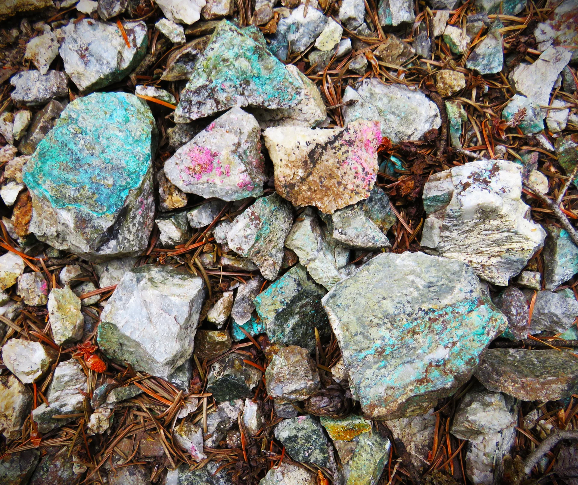 Copper (malachite), cobalt (erythrite), and scorodite on dump material at an old adit on the property.