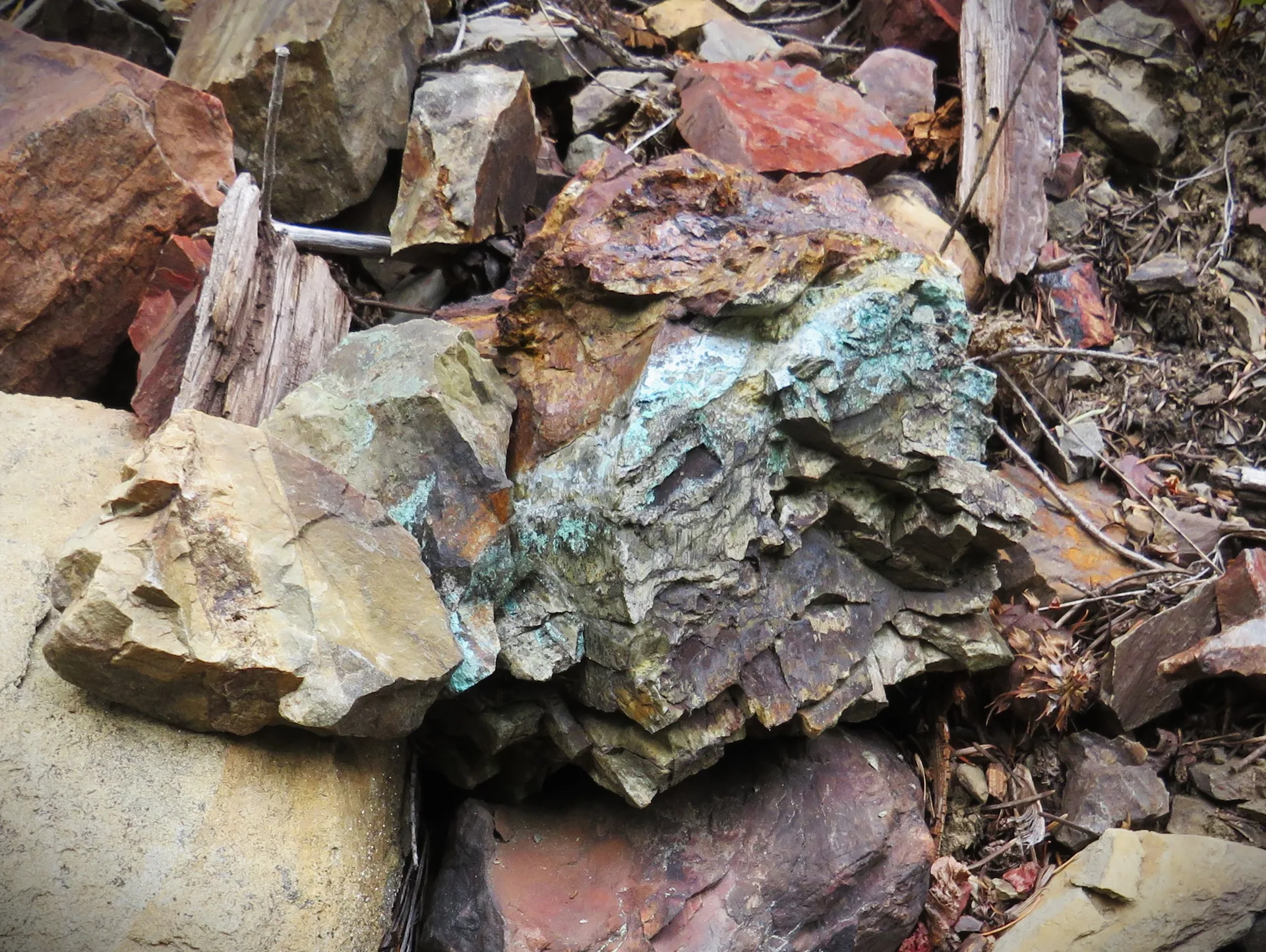 Malachite and copper oxide on dump material from a cut at the north end of the property.