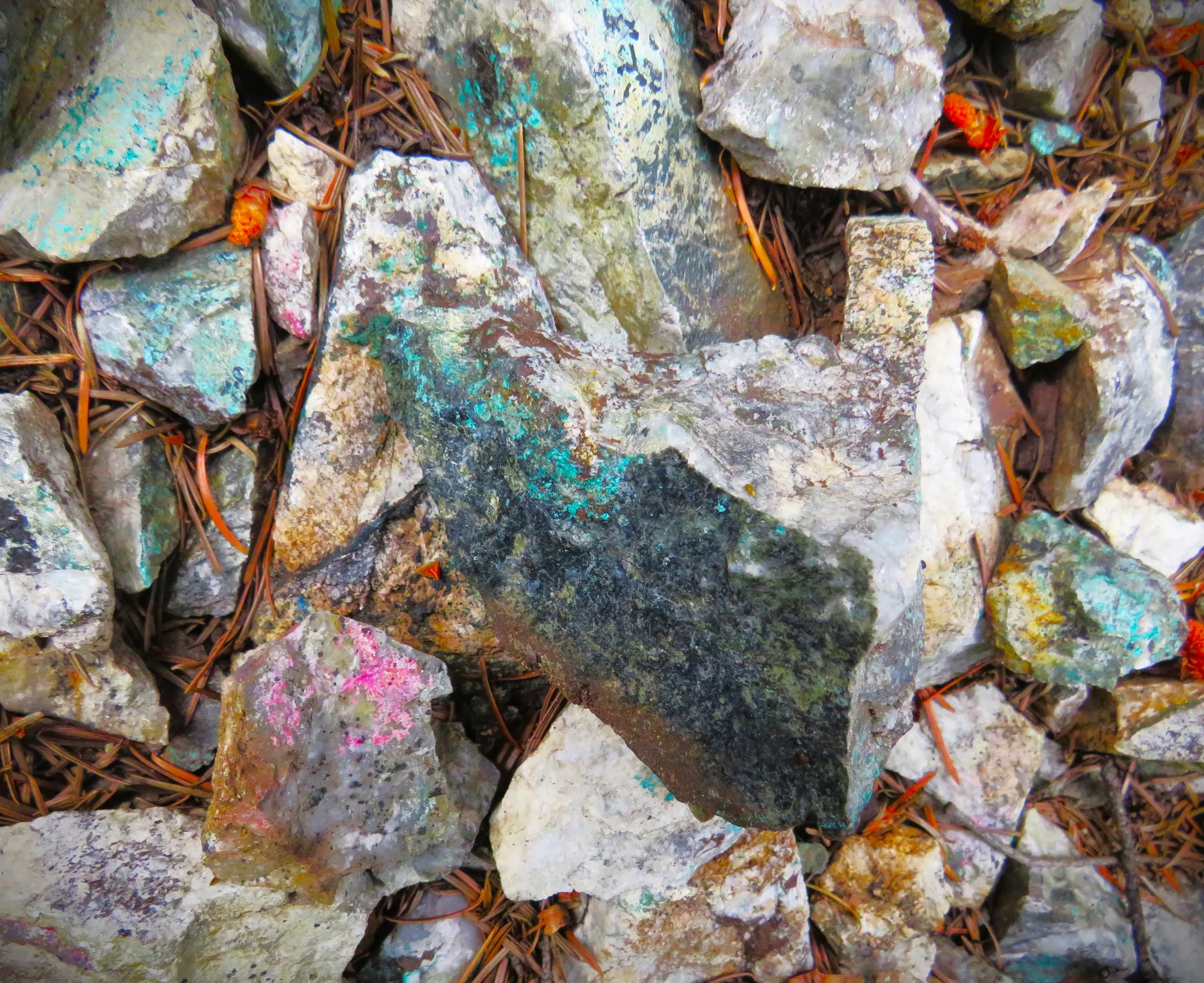 Malachite and erythrite, copper and cobalt mineralization, on the adit dump pile.