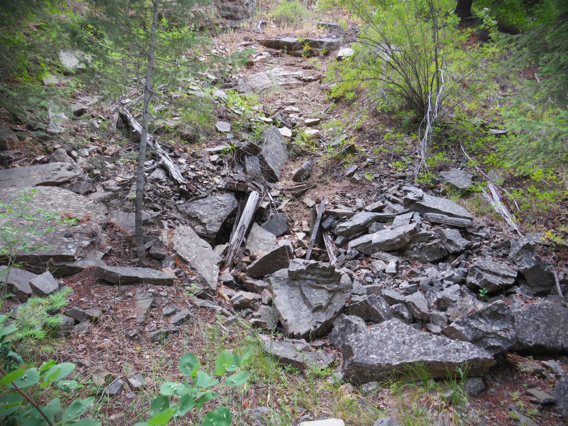 Caved entrance to an old adit driven on the mineralized shear zone.