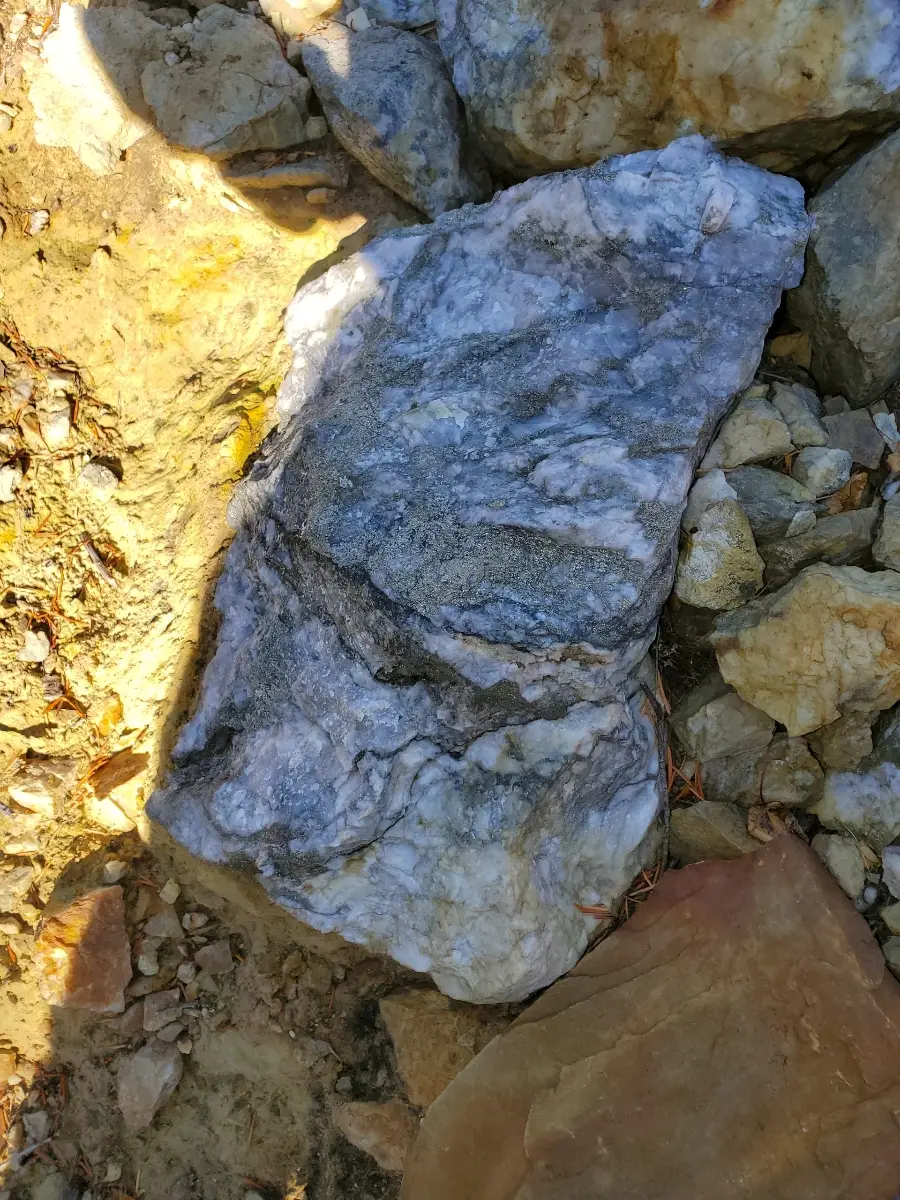In-situ mineralized rock fragment in oxidised trench rubble
