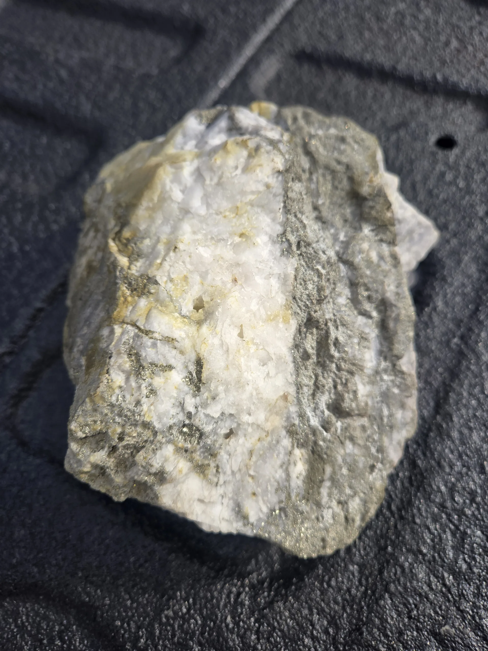 Williams Gold site visit