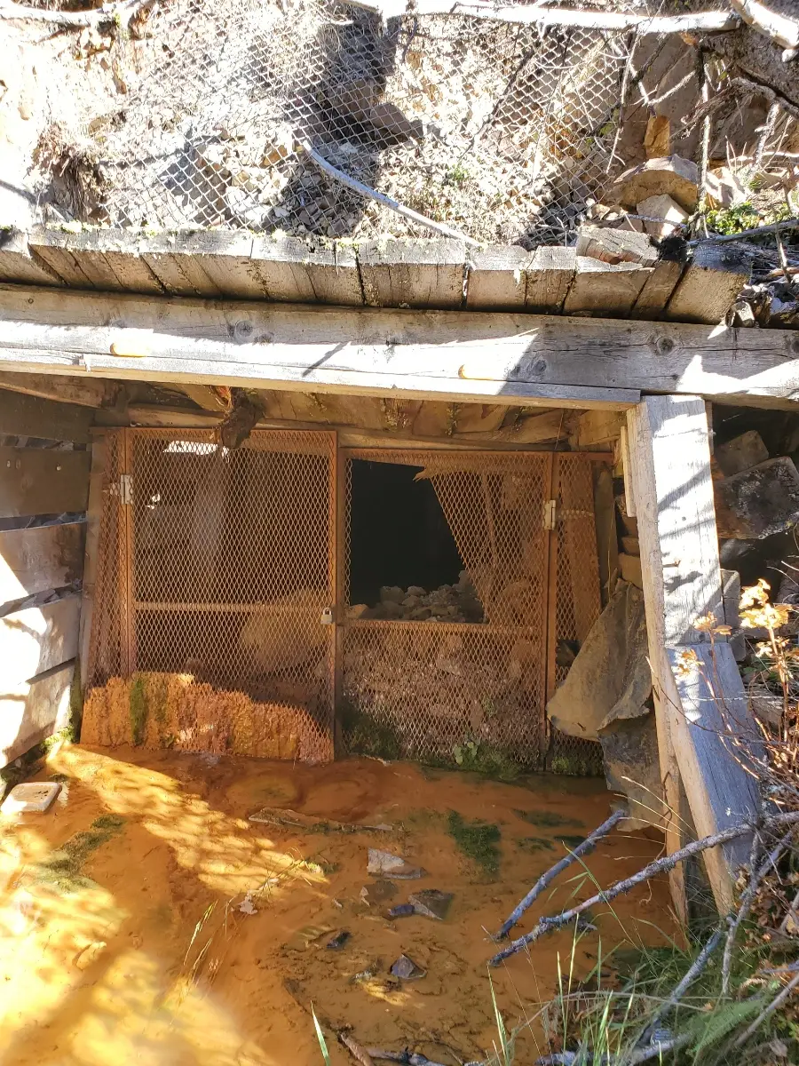 Historic timber mine adit portal with oxidised material visible