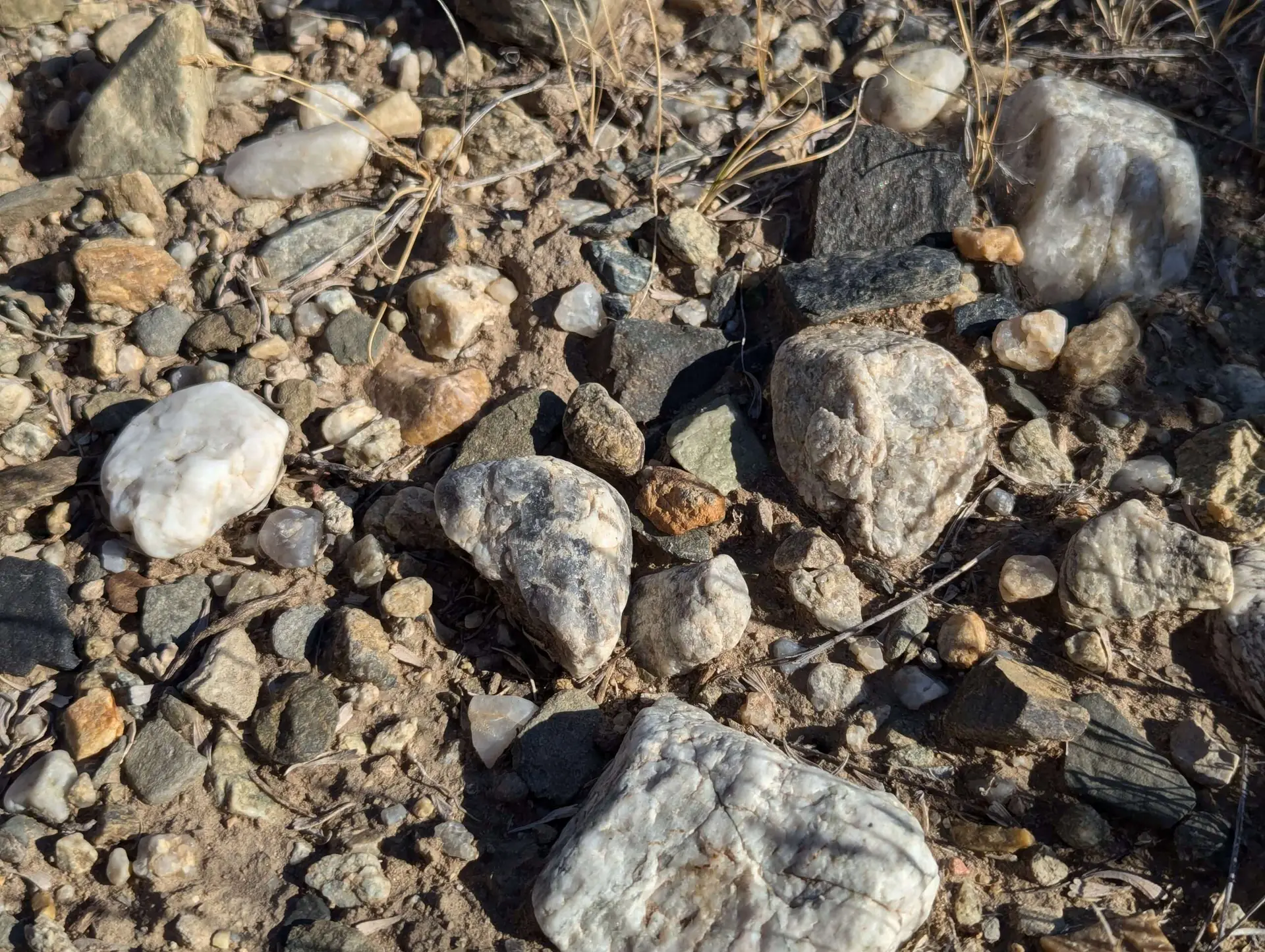Quartz-rich surface gravel and cobbles at Wyoming Gold project